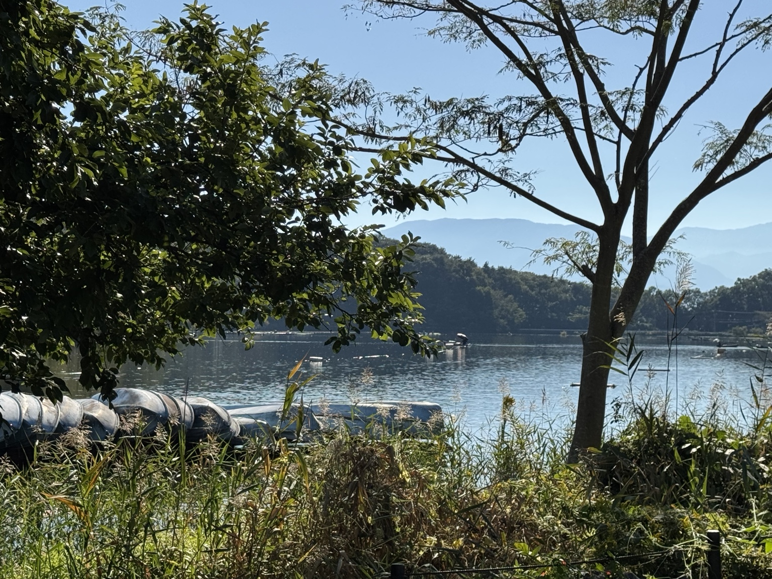Wasser, Boote und herbstliches Grün.