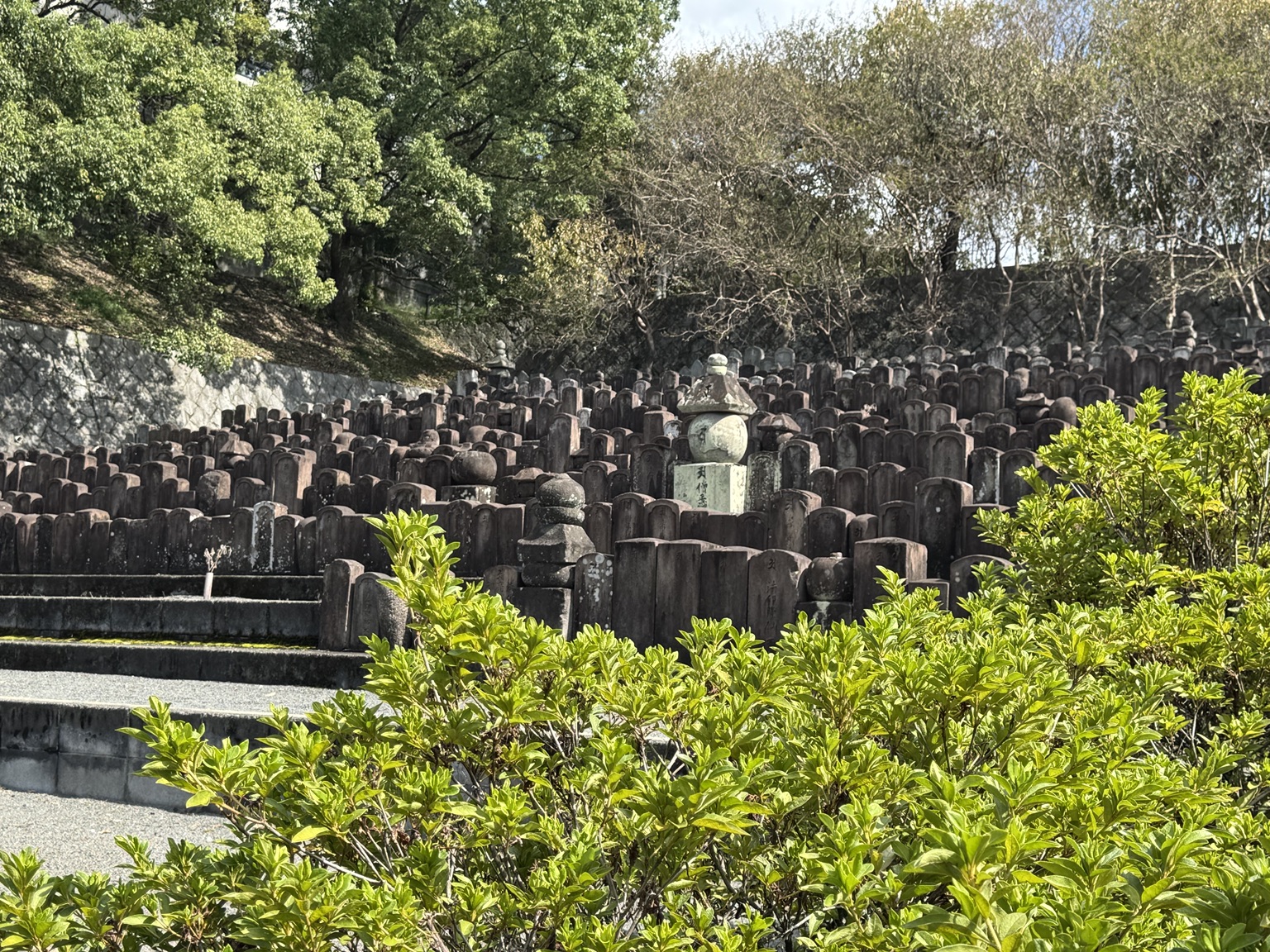Stone figures and green trees on our walk.