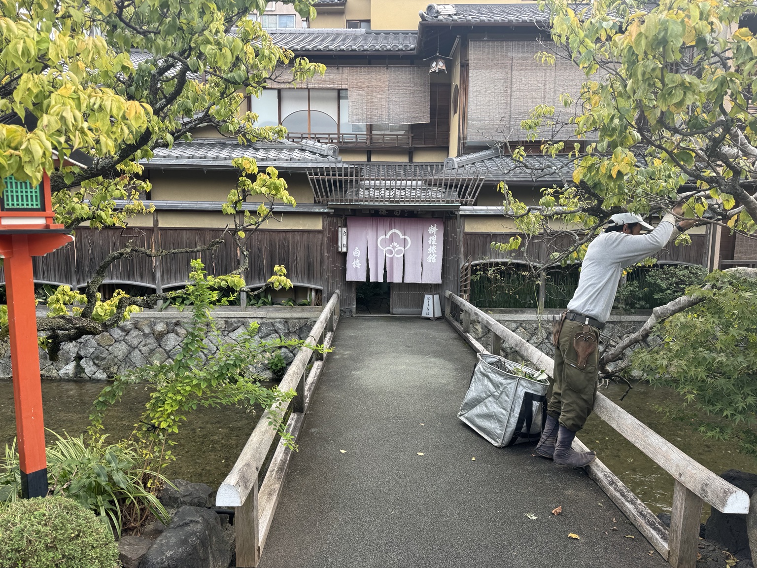A bridge to a house and tree maintenance by the water