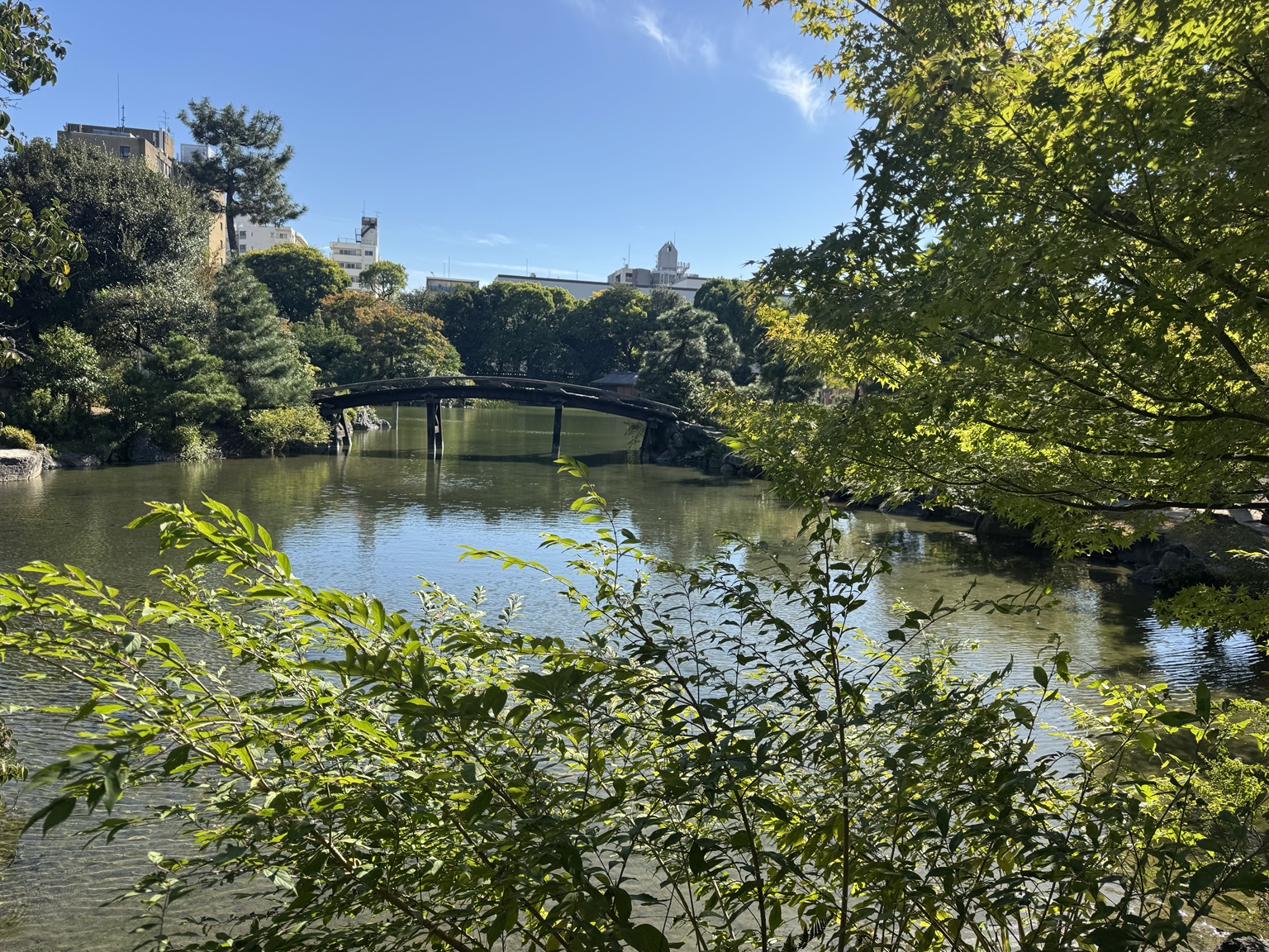 A garden pond and wooden bridge in Kyoto, photographed on the morning of 17 October 2026.