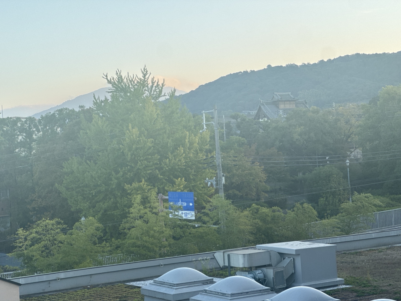 A traditional roof among the trees, with mountains beyond.