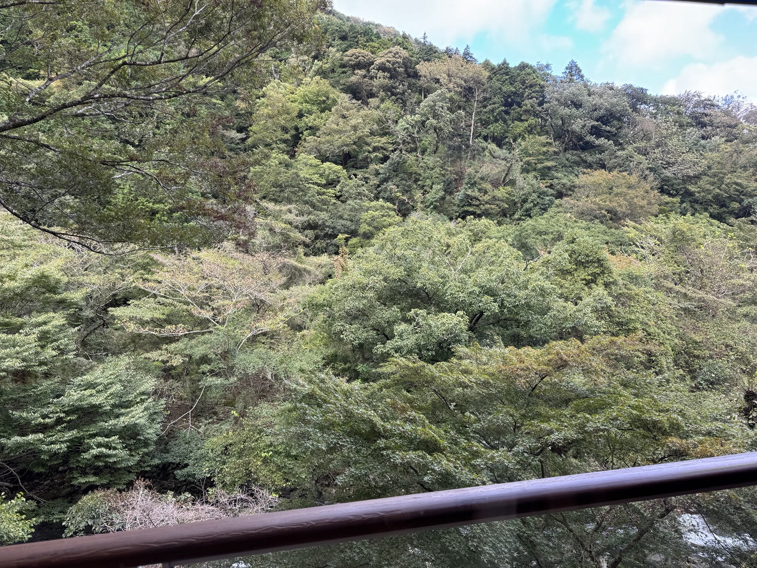 A very different view awaits in Hakone: wooded slopes and the river.