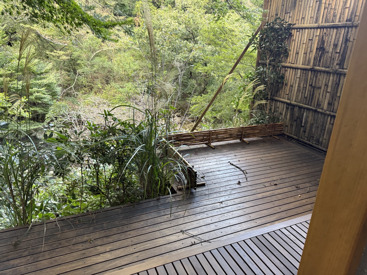 A small wooden terrace surrounded by greenery.
