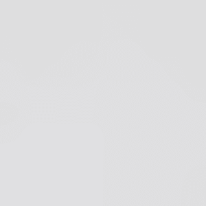 Schale S222