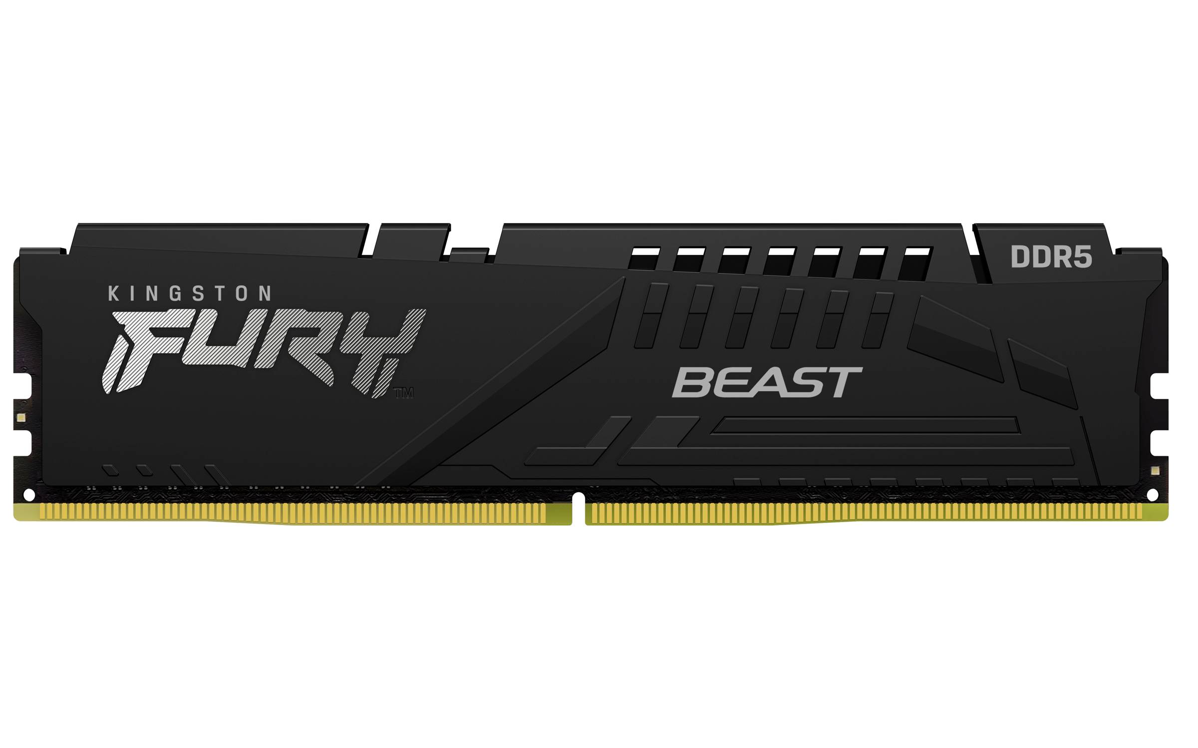 Memorias RAM Kingston Technology FURY BEAST KF556C40BB-32