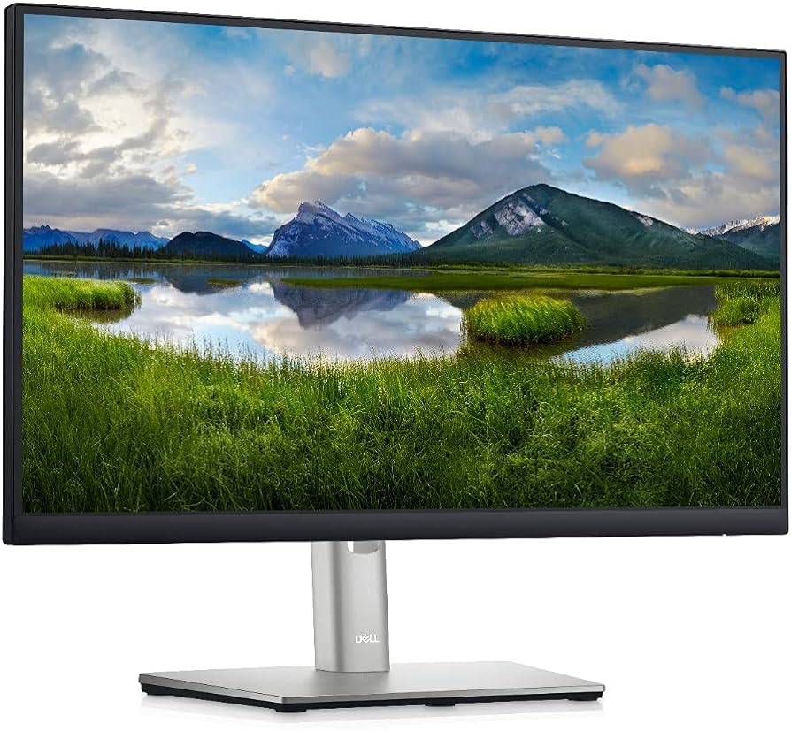 Monitor DELL 210-BLXJ P2225H