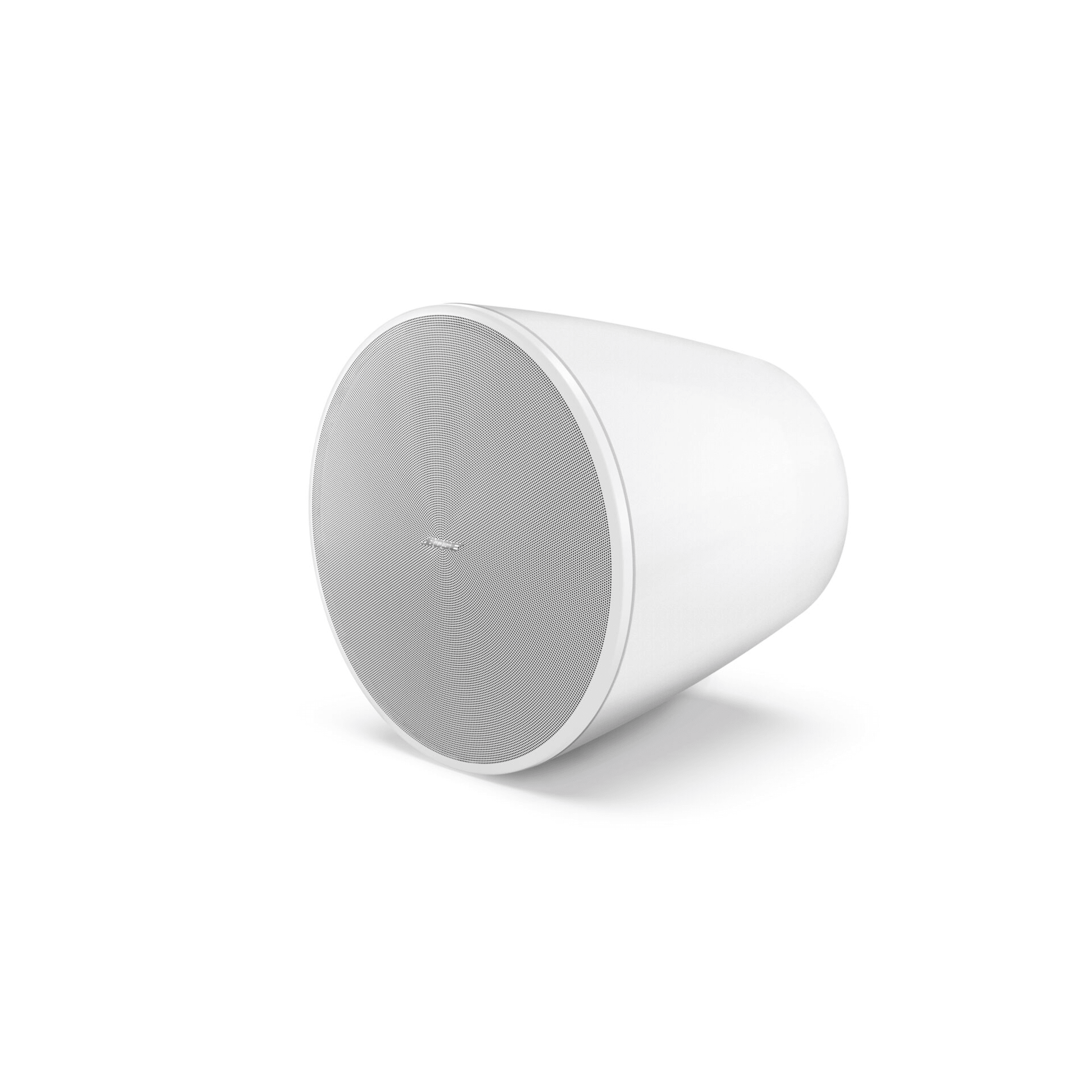 Subwoofer Colgante BOSE PROFESSIONAL DM10P-SUBW