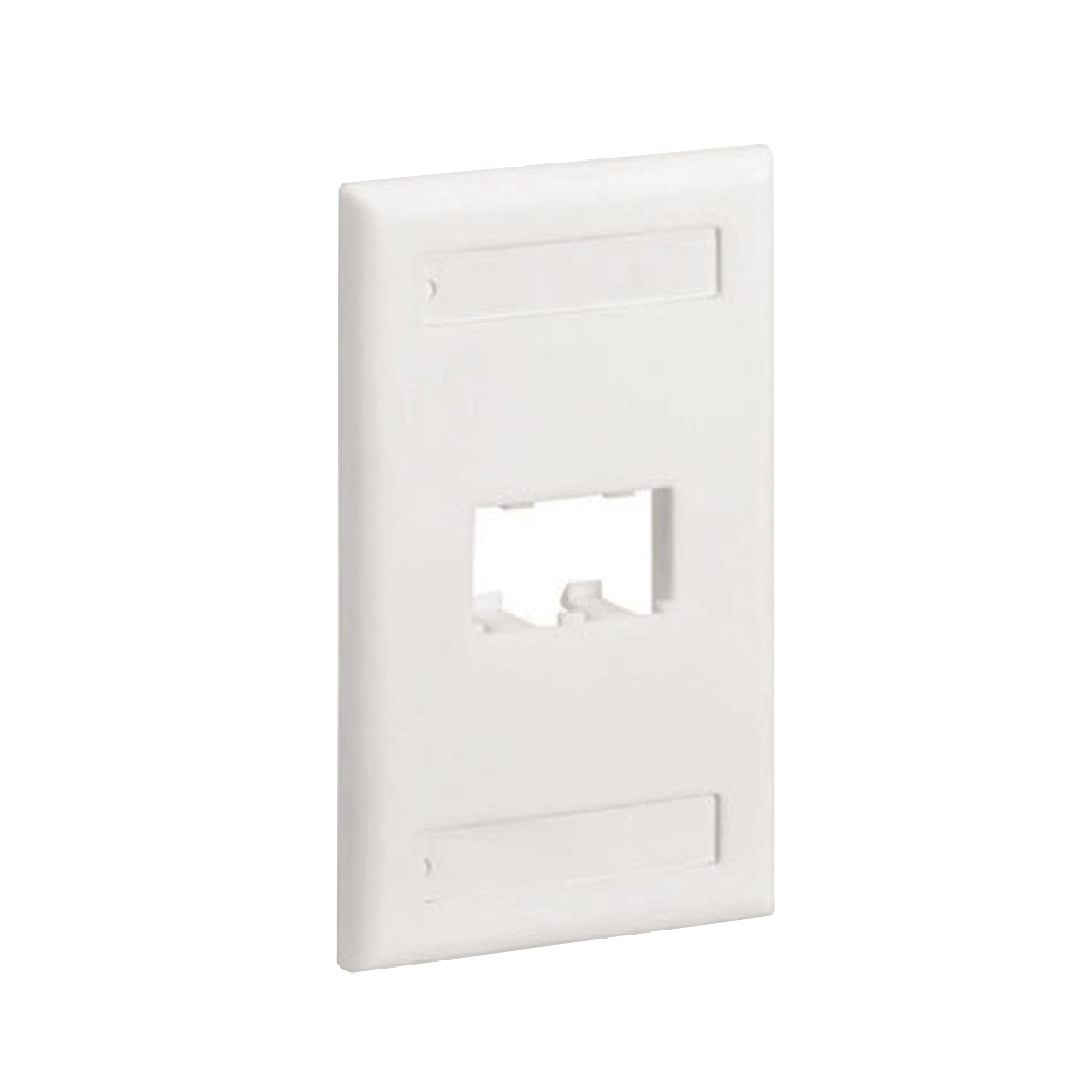 Placa de Pared Vertical Clásica, Salida Para 2 Puertos Mini-Com, Con Espacios Para Etiquetas, Color Blanco Mate PANDUIT CFPL2IWY
