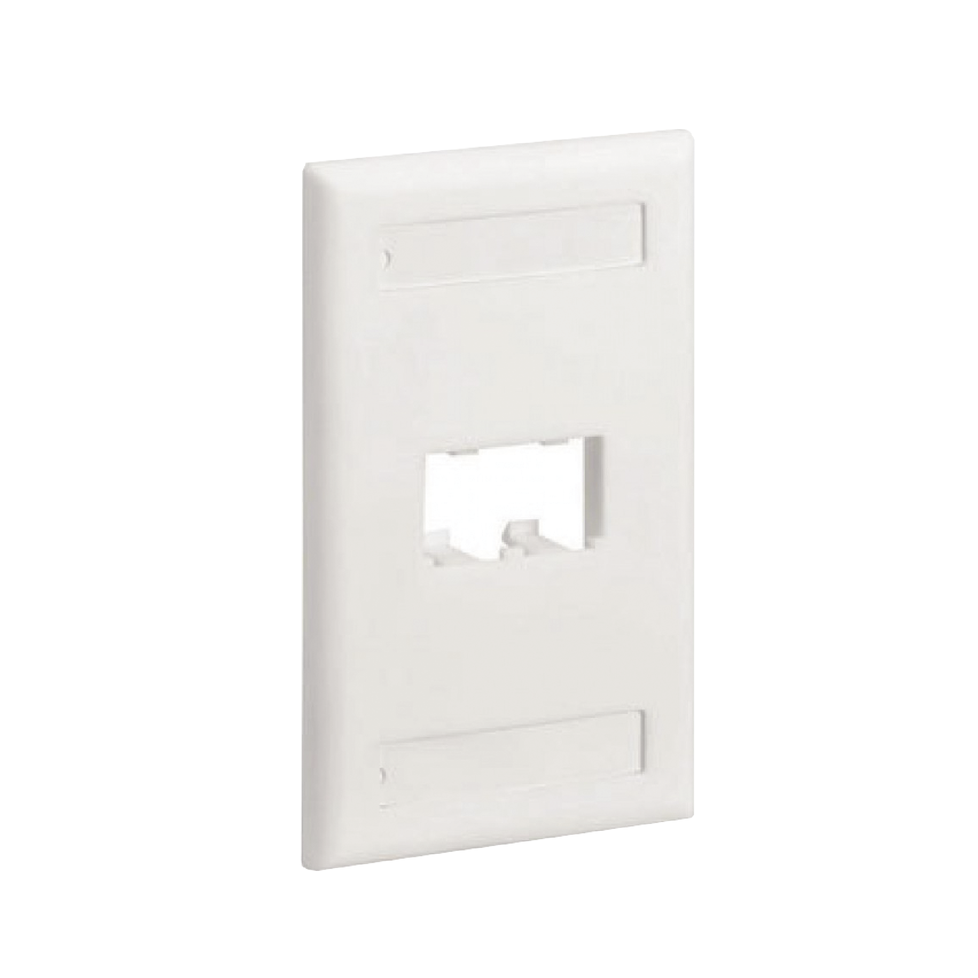 Placa de Pared Vertical Clásica, Salida Para 2 Puertos Mini-Com, Con Espacios Para Etiquetas, Color Blanco PANDUIT CFPL2WHY