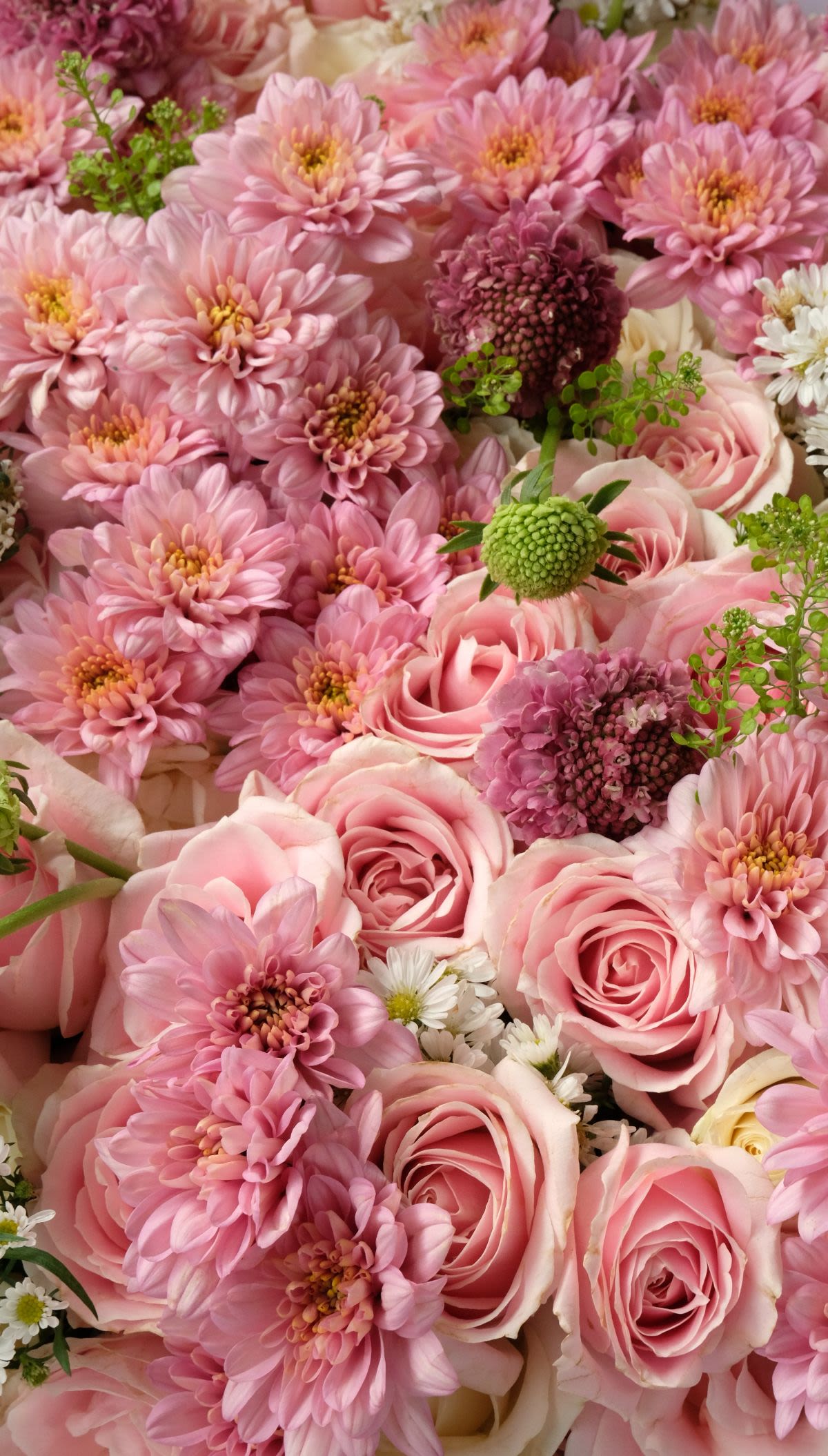 Whimsy Pink - Thumbnail 2 - fresh