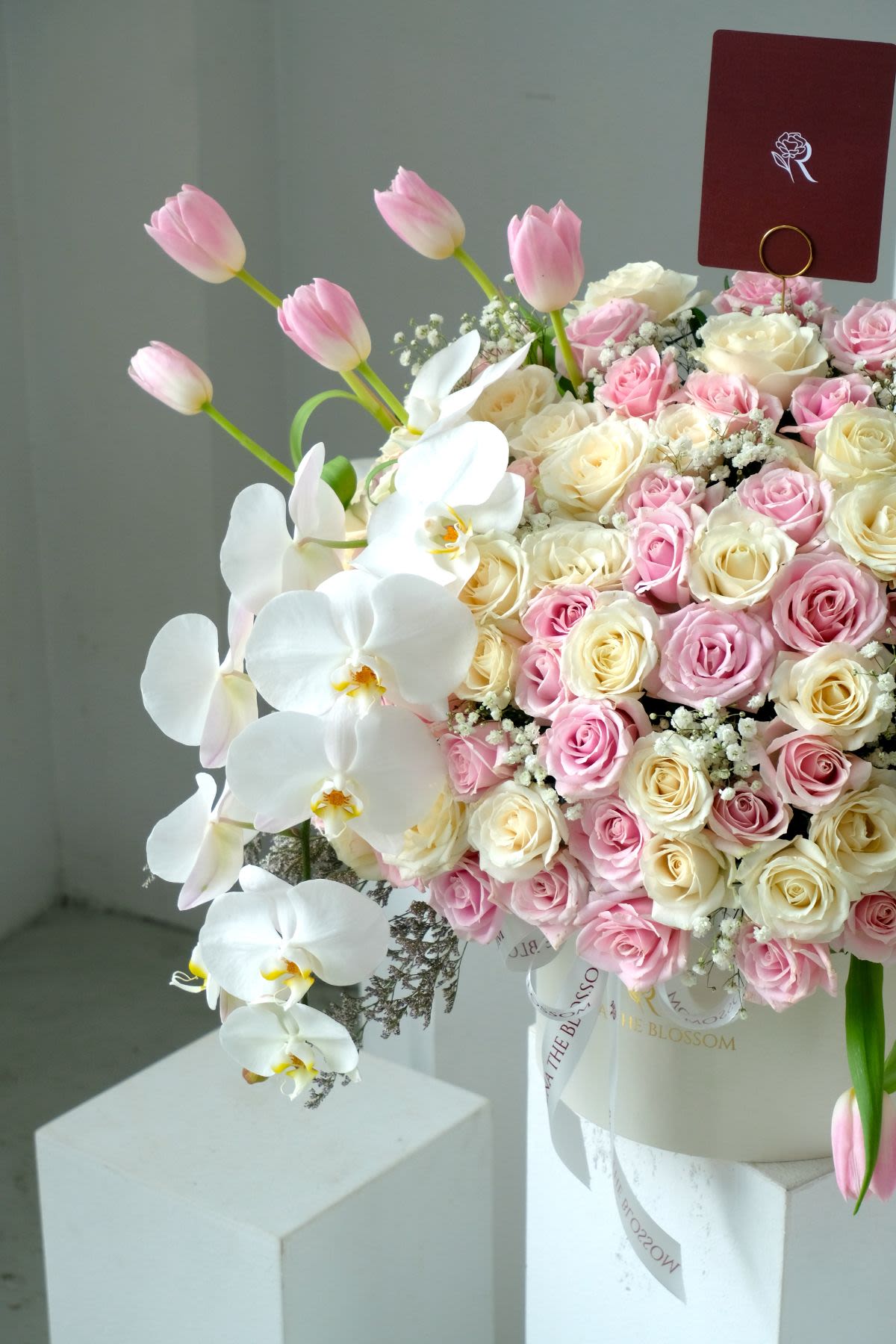 Petals & Promise - Thumbnail 2 - fresh