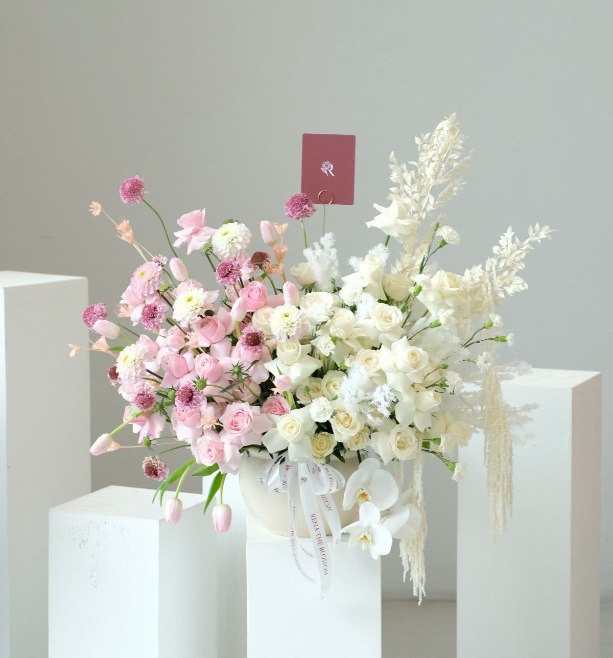 Veloura Rose - Thumbnail 1 - giant