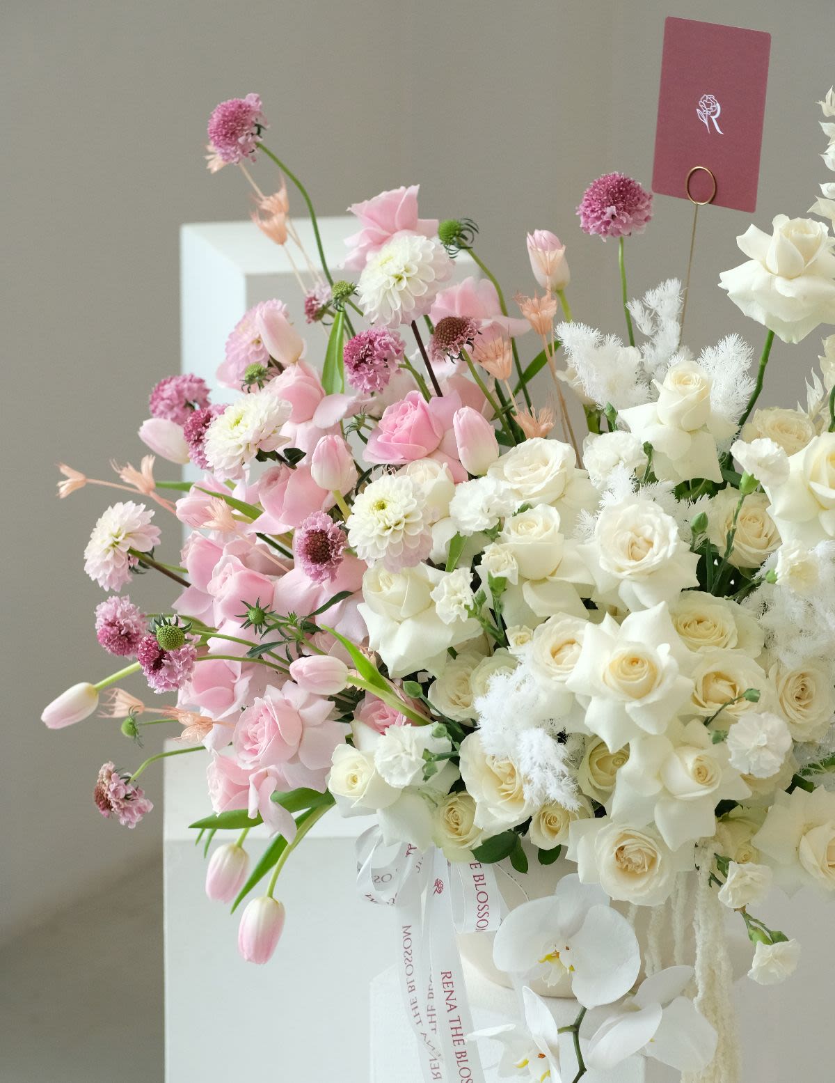 Veloura Rose - Thumbnail 2 - giant