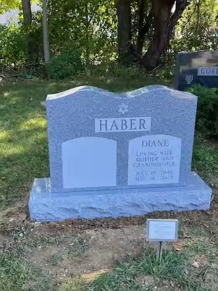 jewish double monuments - Haber