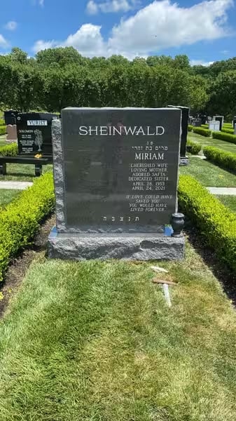 jewish double monuments - Sheinwald