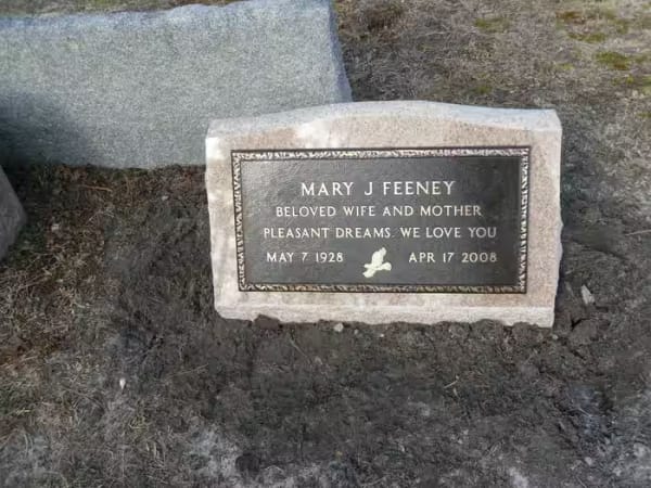 bronze monuments - Feeney