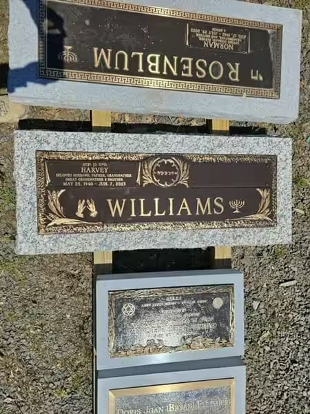 bronze monuments - Williams