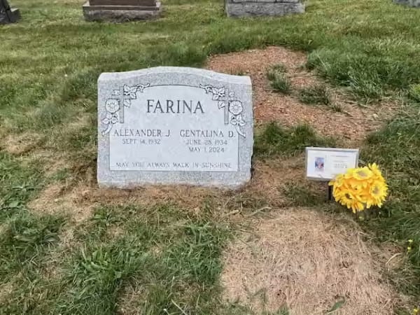 slants - Farina