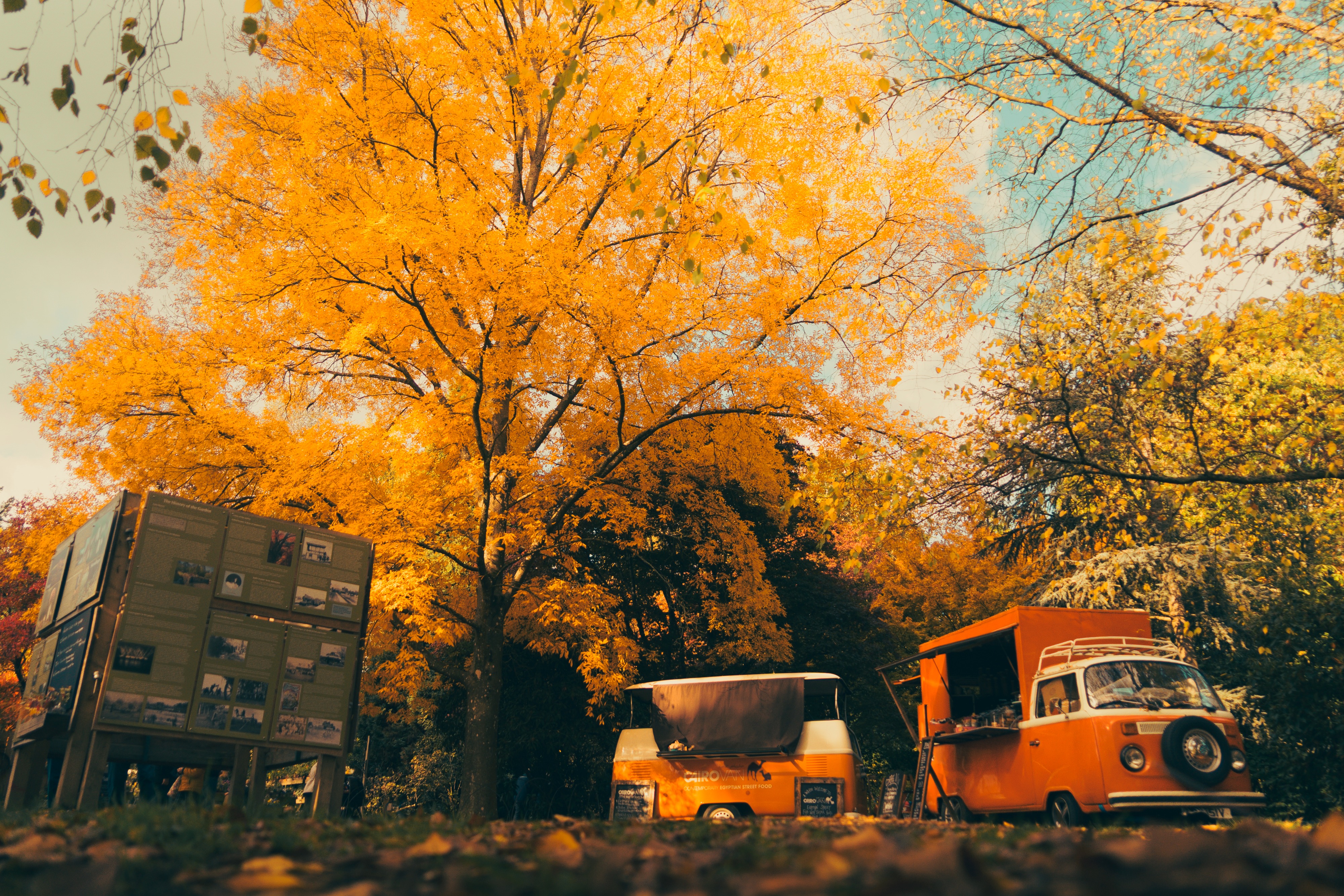 Golden Autumn Refreshment