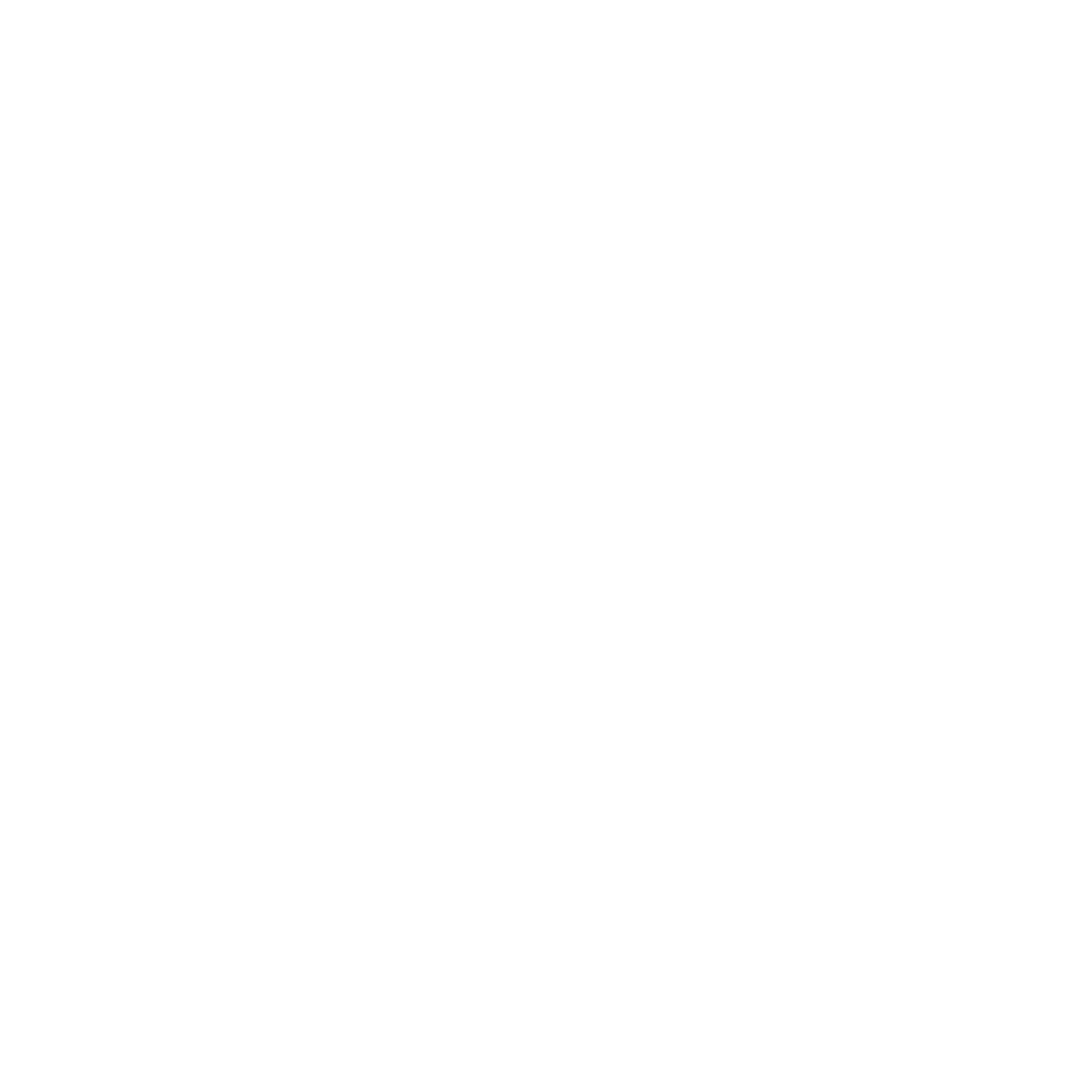 Logo partenaire Renault