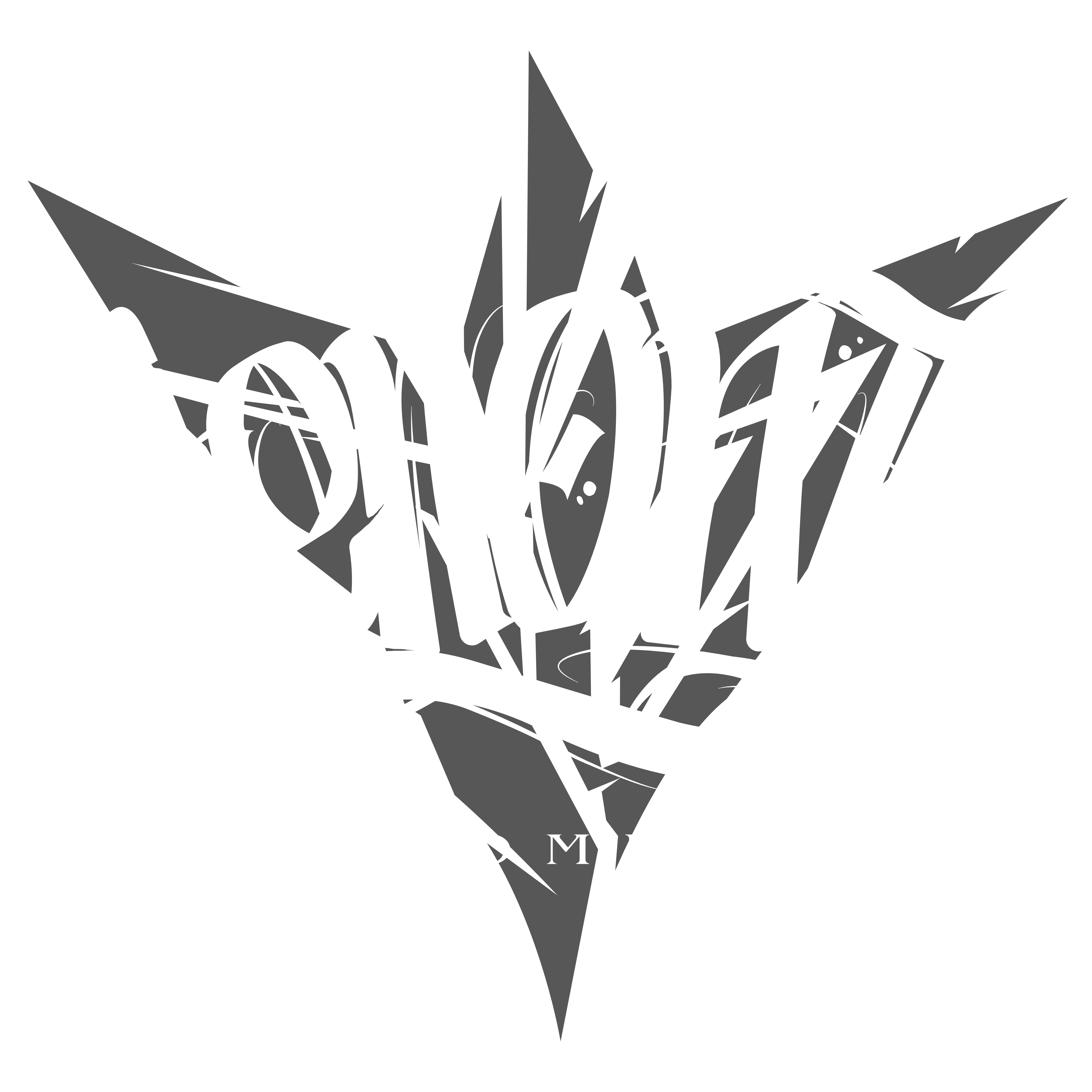 IEN ONE Custompaint