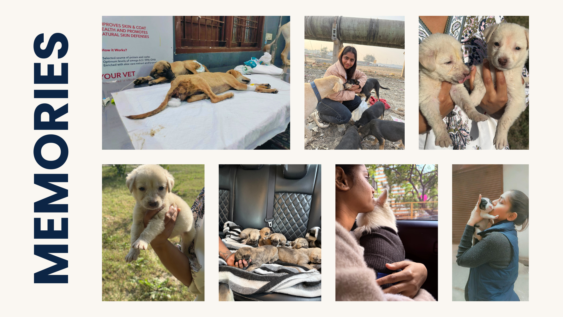 Rescued animals