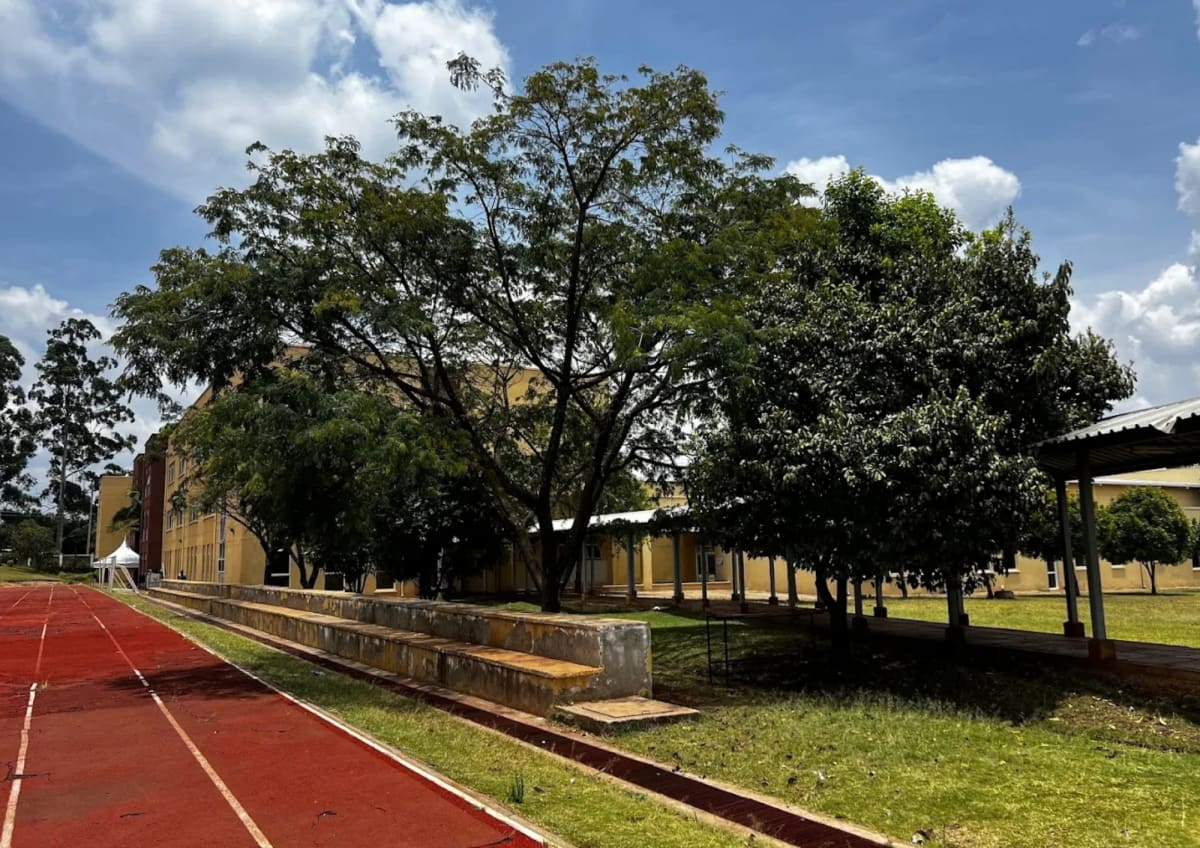 Tree-shaded paths through the grounds at Elyton International School, Karen