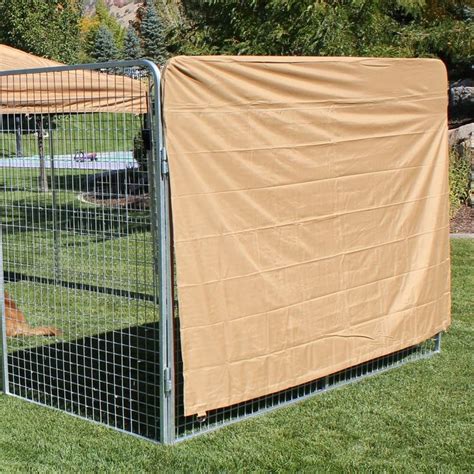 An Elegant and Modern Way to Carry Your Dog: Dog Crates