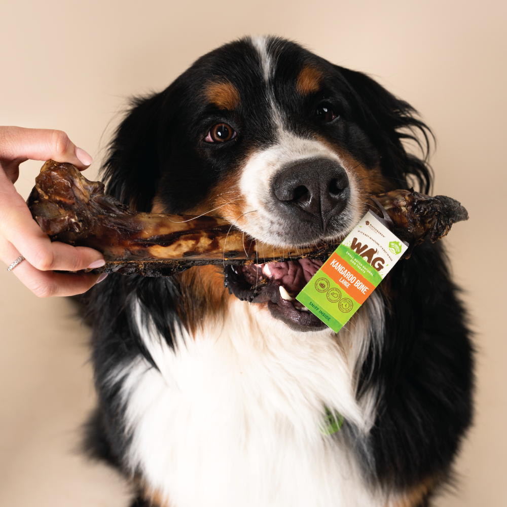 Eco-Friendly Natural Dog Treats: Sustainable Options in Australia