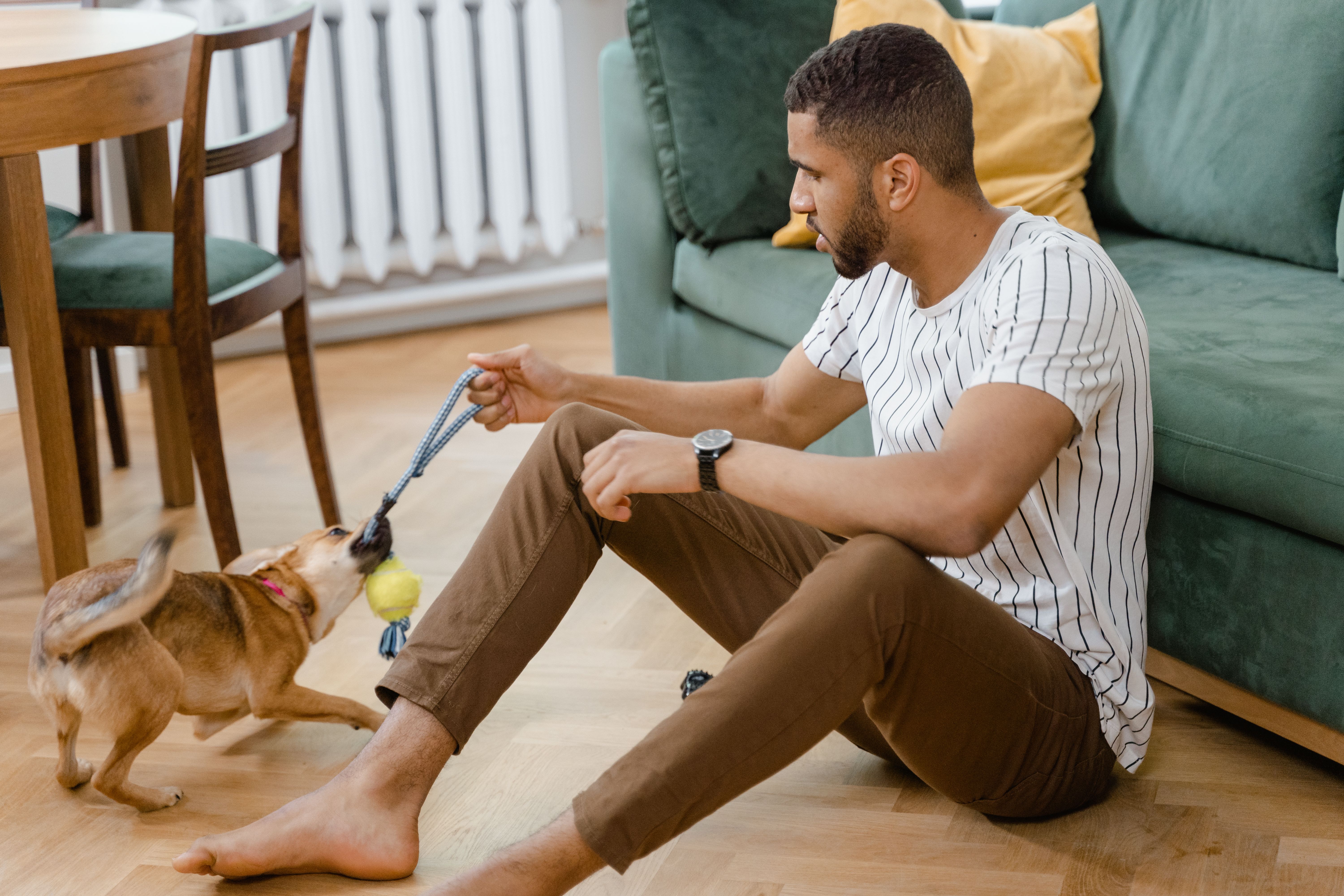 Choosing the Best Pet-Friendly Flooring for Your Home
