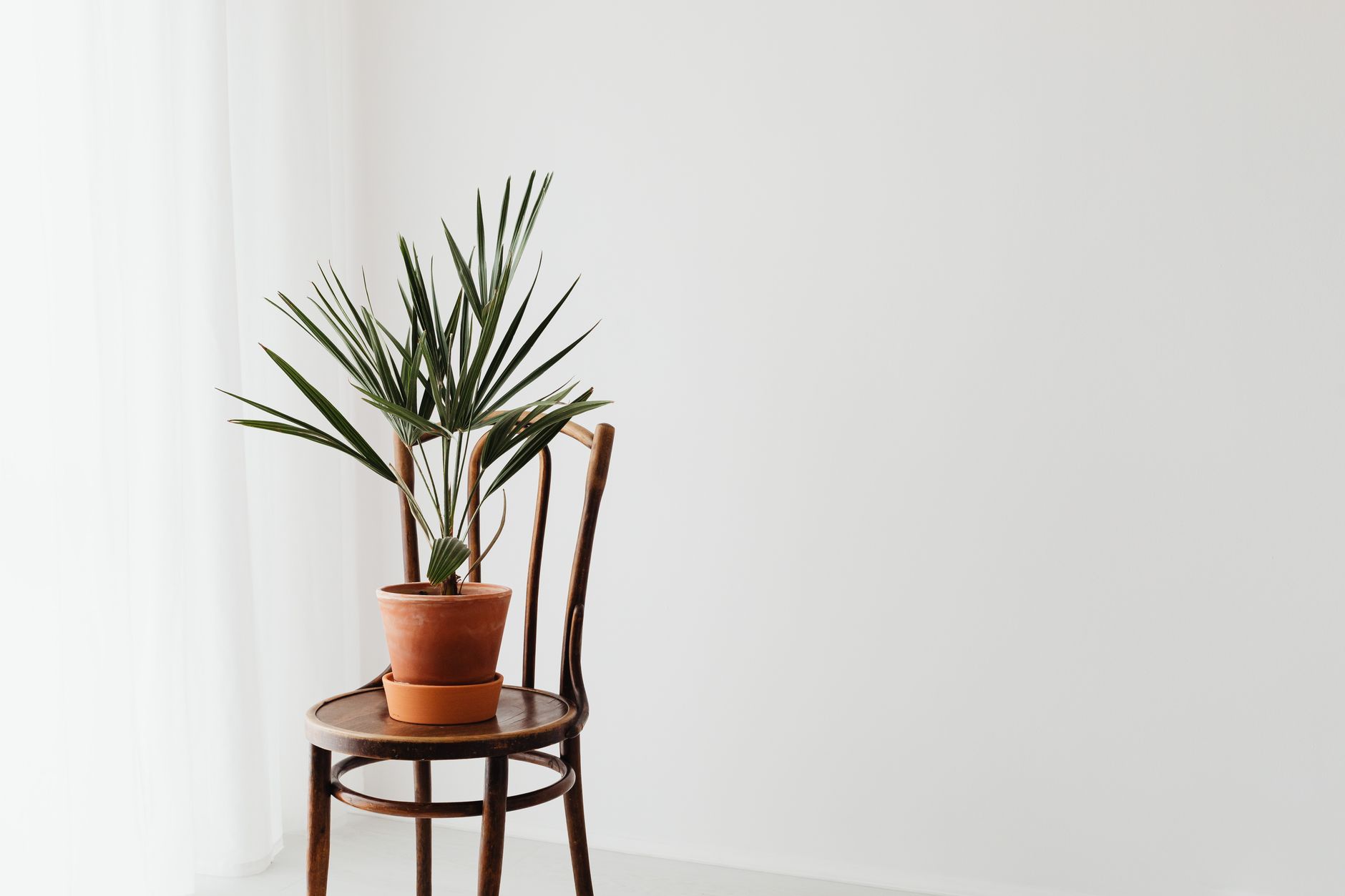 6 Tips for Making a Minimalist Home on a Mediocre Budget
