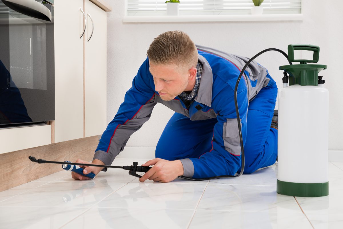 Pest Control Services in Northglenn: Signs You Have Selected a Reliable One