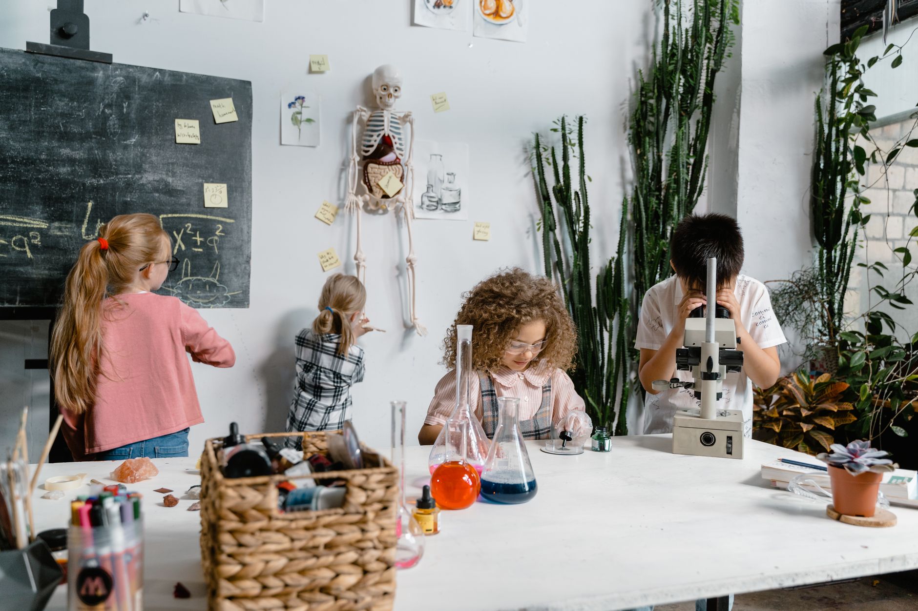 Why is Now the Perfect Time to Learn Science Courses Online?