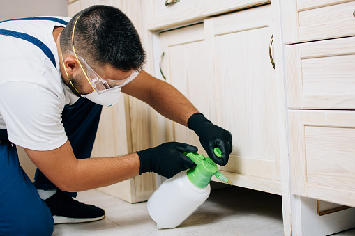 Some safety precautions to follow during pest control