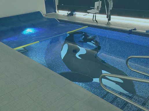 The Ultimate Guide to Electric Pool Covers: Benefits, Features, and Buying Tips