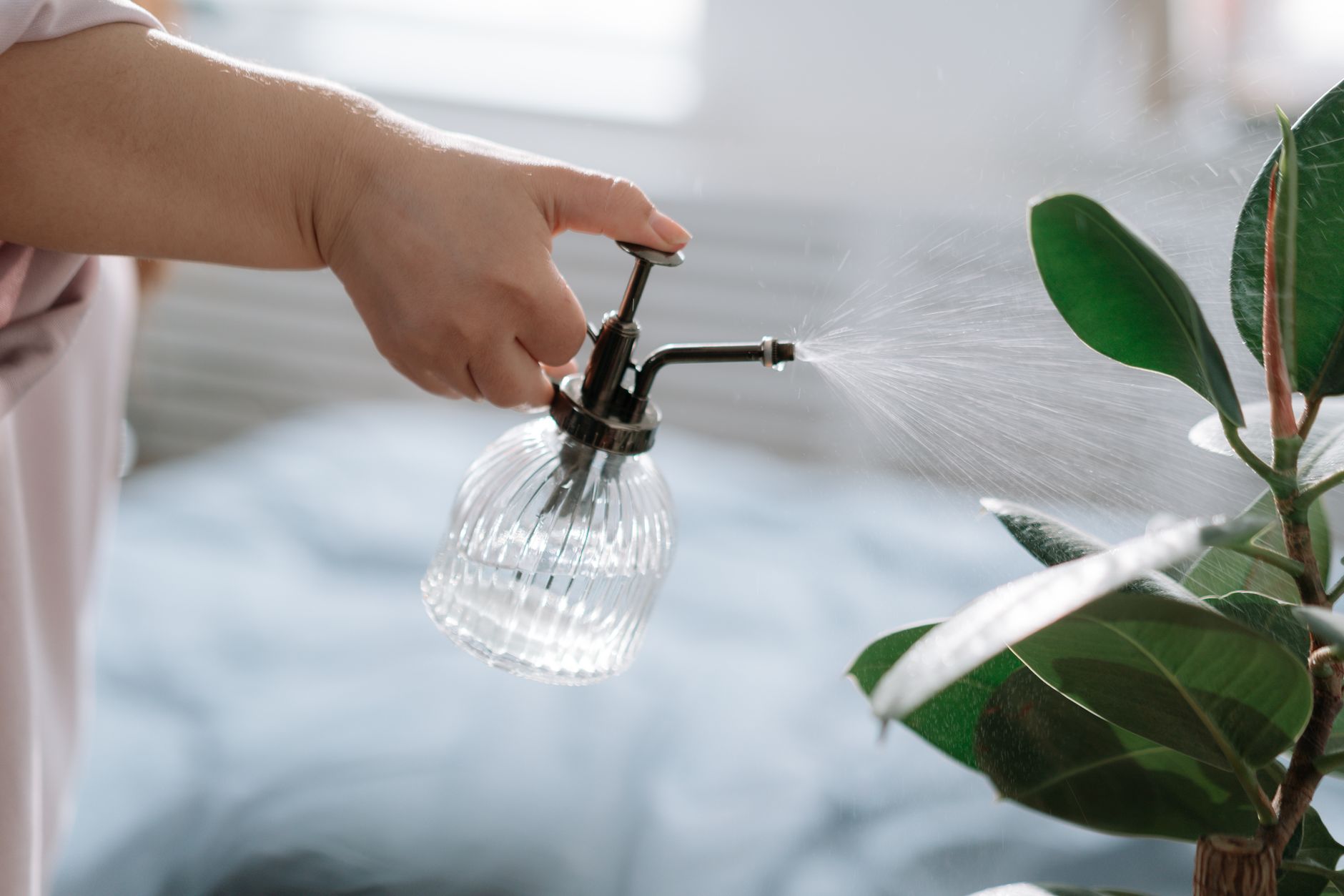 Important, Recognize the Difference between Humidifier, Diffuser, and Purifier