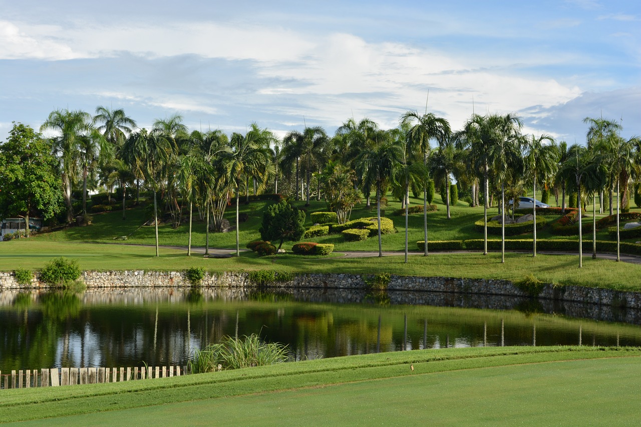 Golf Course-Inspired Landscaping: Bringing the Beauty of Fairways to Your Backyard