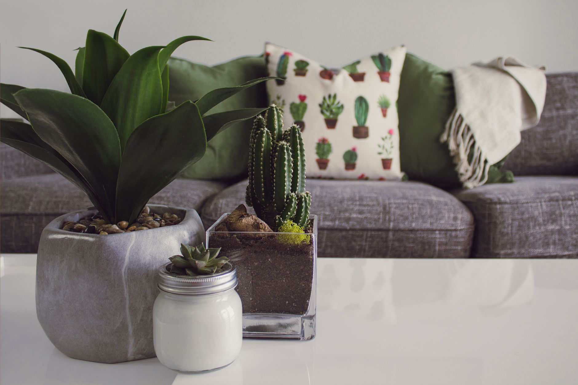Revitalizing Your Haven: Tips to Transform Your Home
