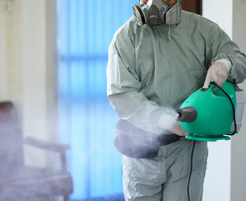Breathe Easy Again: Smoke Odor Removal Services