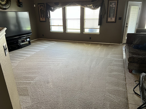 The Ultimate Guide to Carpet Cleaners in San Antonio, TX