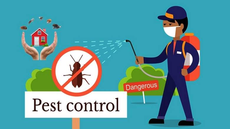 Exterminator: The Ultimate Guide to Pest Control Services