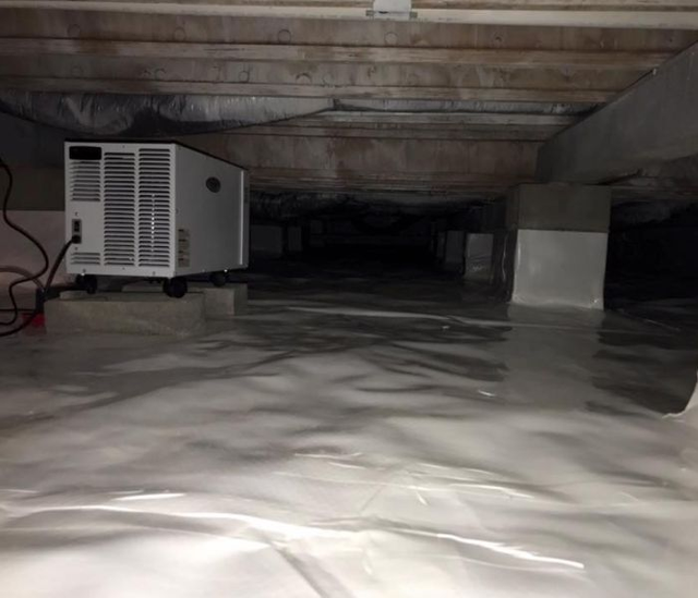 The Best Basement Waterproofing Methods for Long-Term Protection