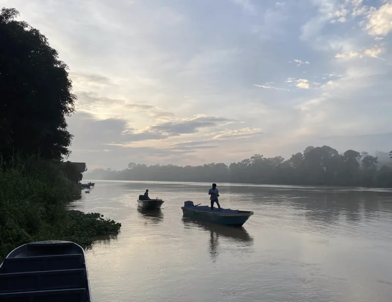 Descubre la Magia de Río Kinabatangan