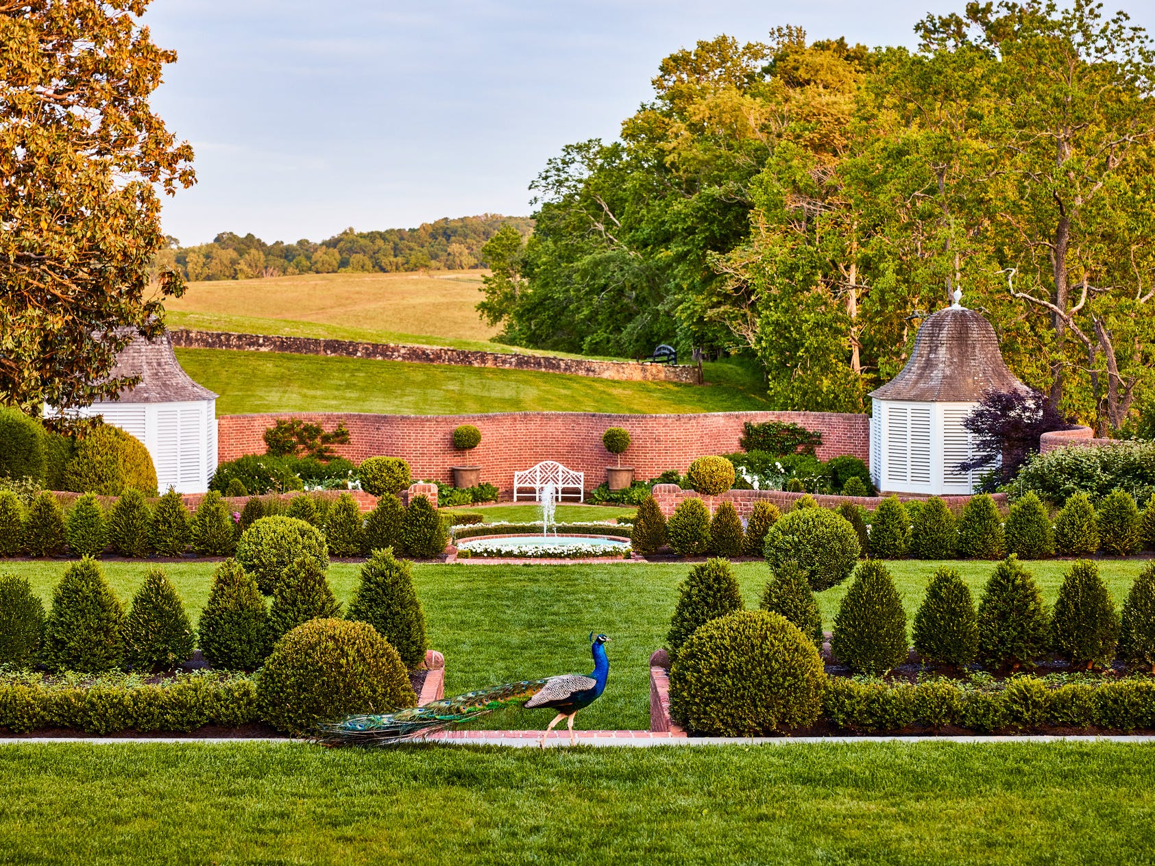 Enhancing Your Outdoor Spaces with Professional Commercial Landscape Services
