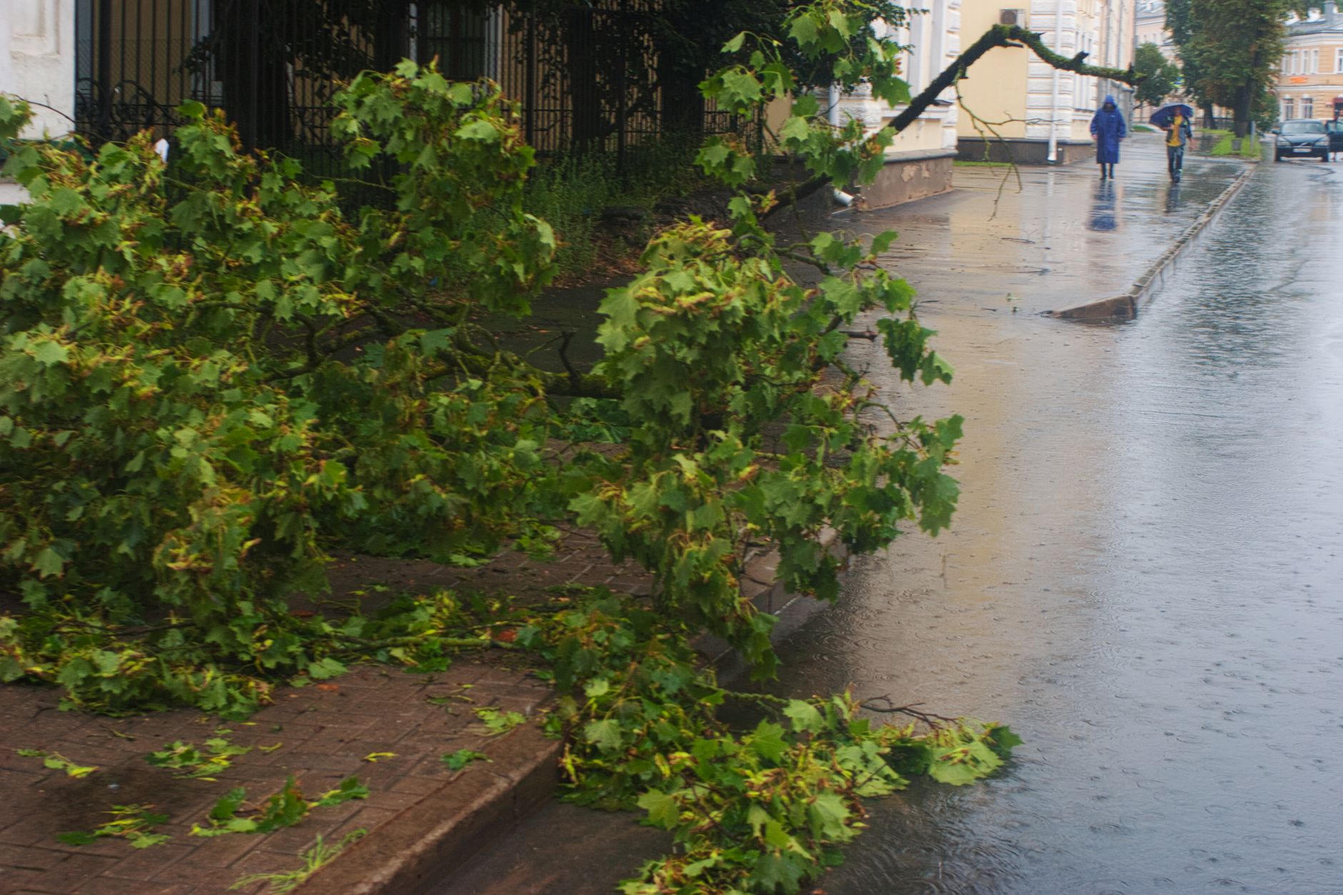 How Do You Clean Up After a Storm?