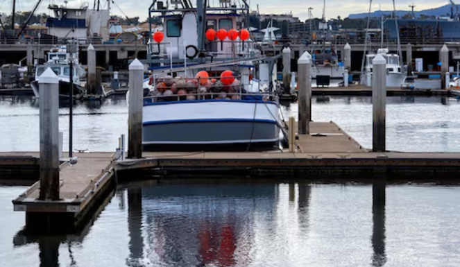 Floating Docks vs. Fixed Docks: First Read the Water, Then Make a Decision