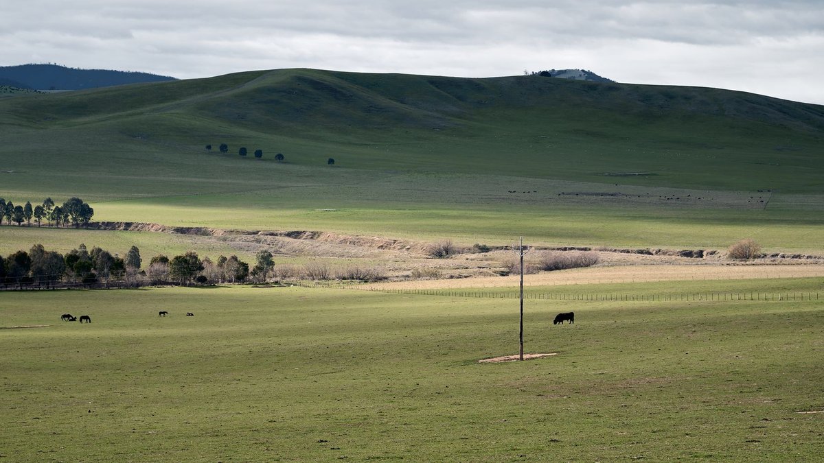 El Niño hits Australian farms and utilities hard El Niño hits Australian farms and utilities hard - el niño australia