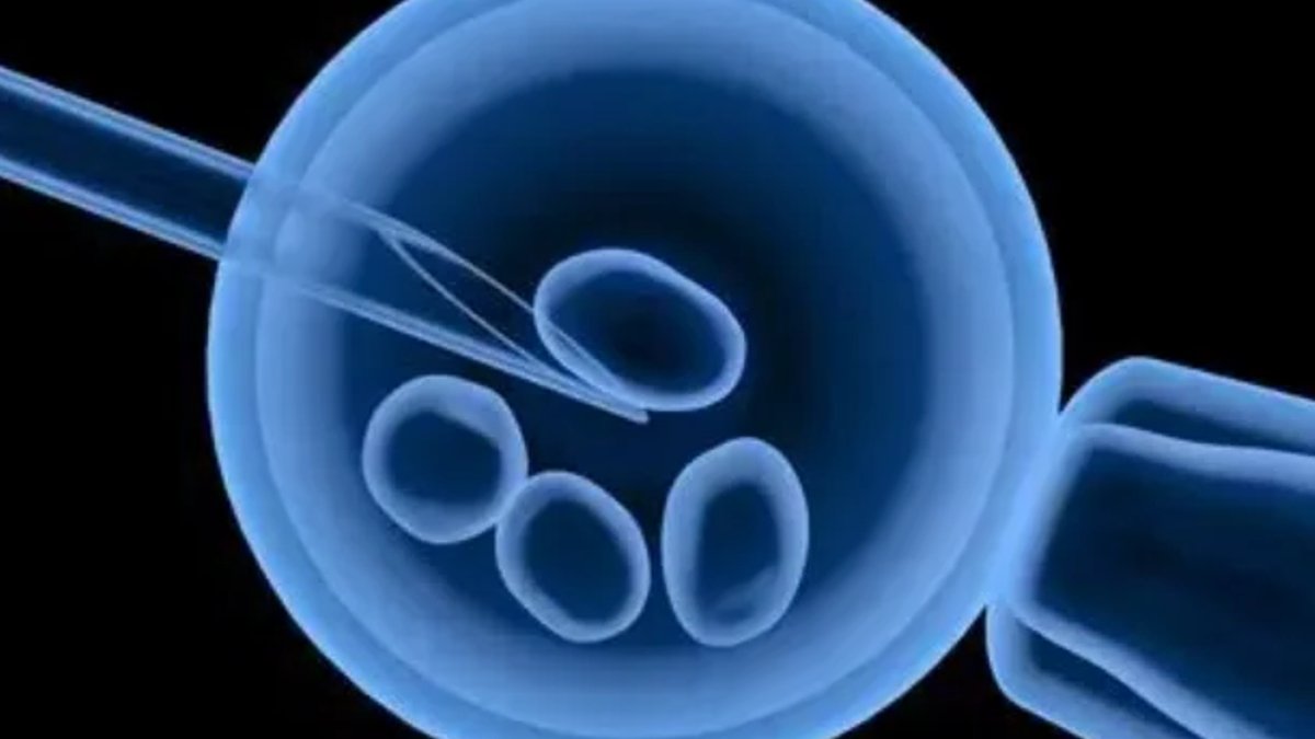 Australian startup develops hormone sensor to streamline IVF Australian startup develops hormone sensor to streamline IVF - ivf hormone sensor
