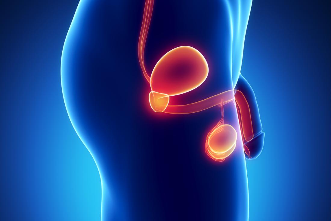 How is Vasectomy a Blessing in Disguise?