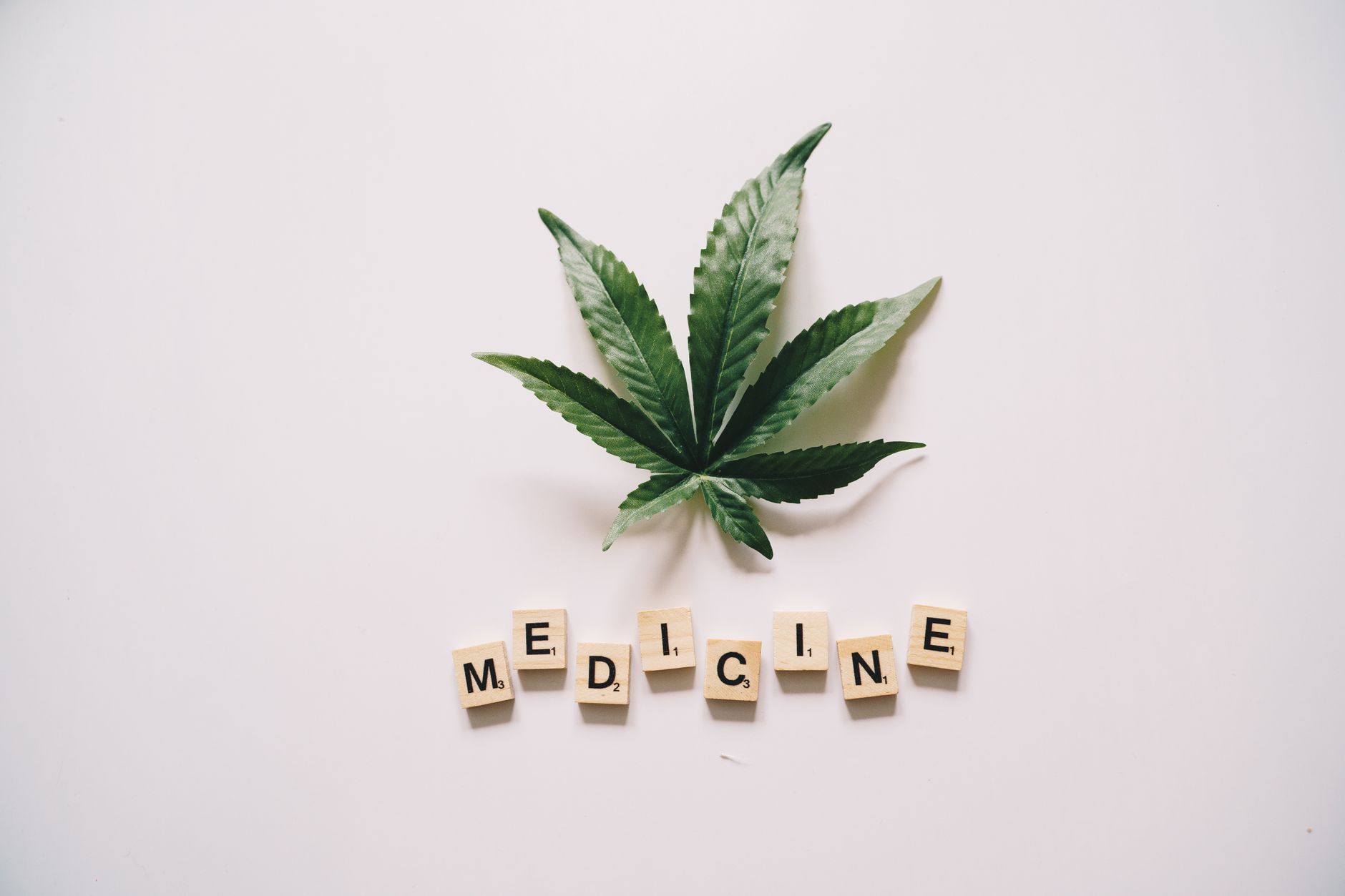 Huile de CBD vs isolat de CBD quelle est la différence ?